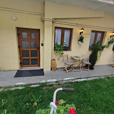 Central Garden Apartments Braşov Extérieur photo