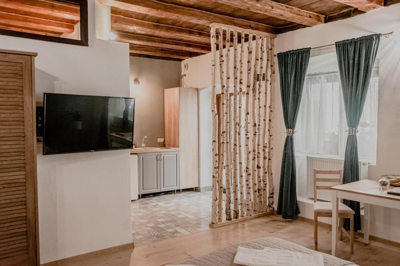 Central Garden Apartments Braşov Extérieur photo
