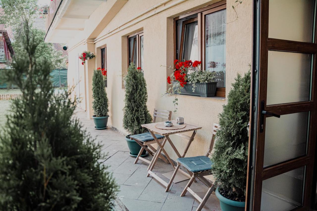 Central Garden Apartments Braşov Extérieur photo