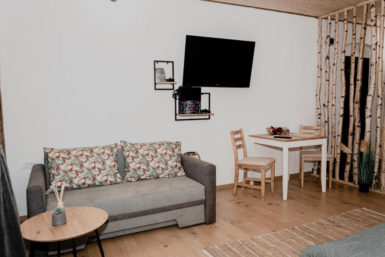 Central Garden Apartments Braşov Extérieur photo