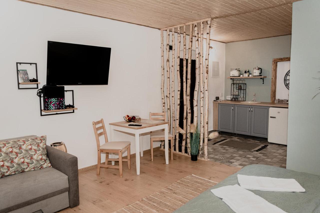Central Garden Apartments Braşov Extérieur photo