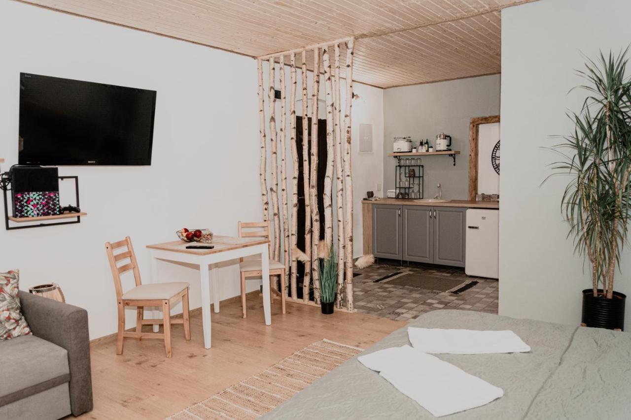 Central Garden Apartments Braşov Extérieur photo