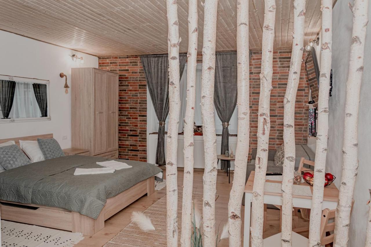 Central Garden Apartments Braşov Extérieur photo
