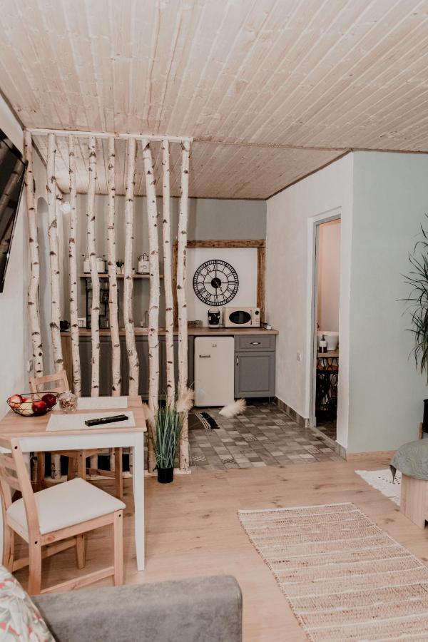 Central Garden Apartments Braşov Extérieur photo